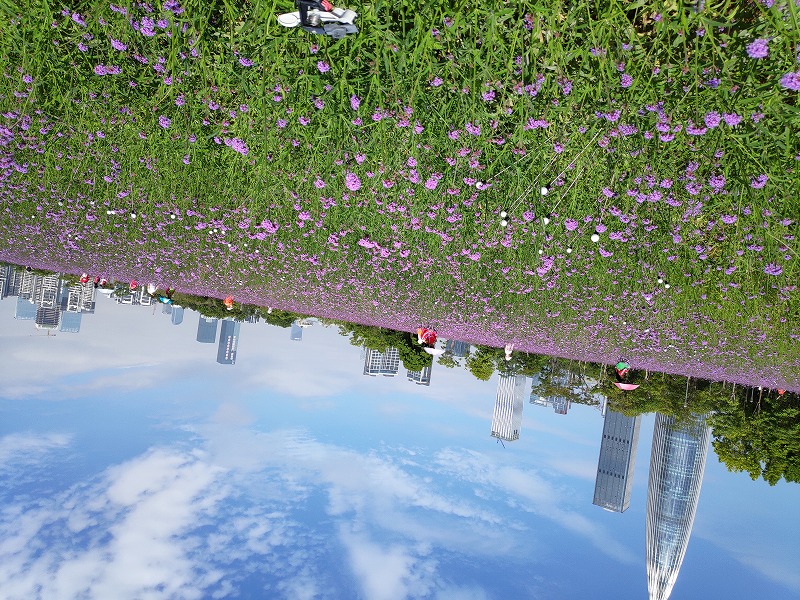 1603761142209702.jpg IMG_20201025_101649.jpg